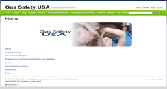 Desktop Screenshot of gassafetyusa.com